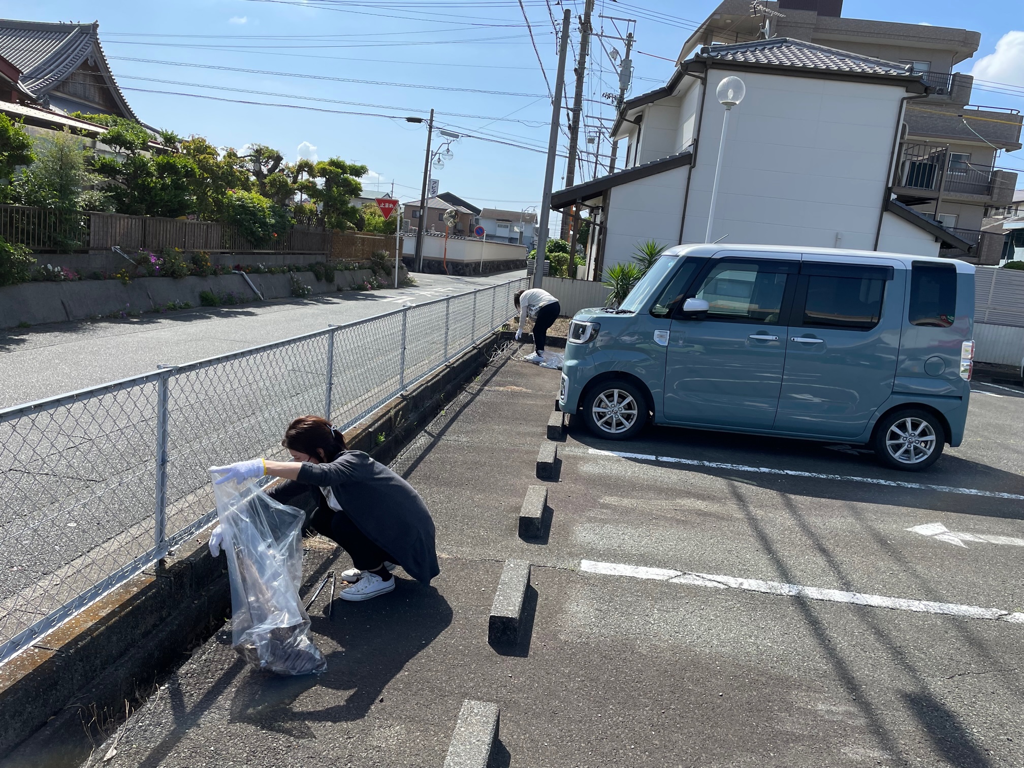 溝のゴミも丁寧に回収しました。