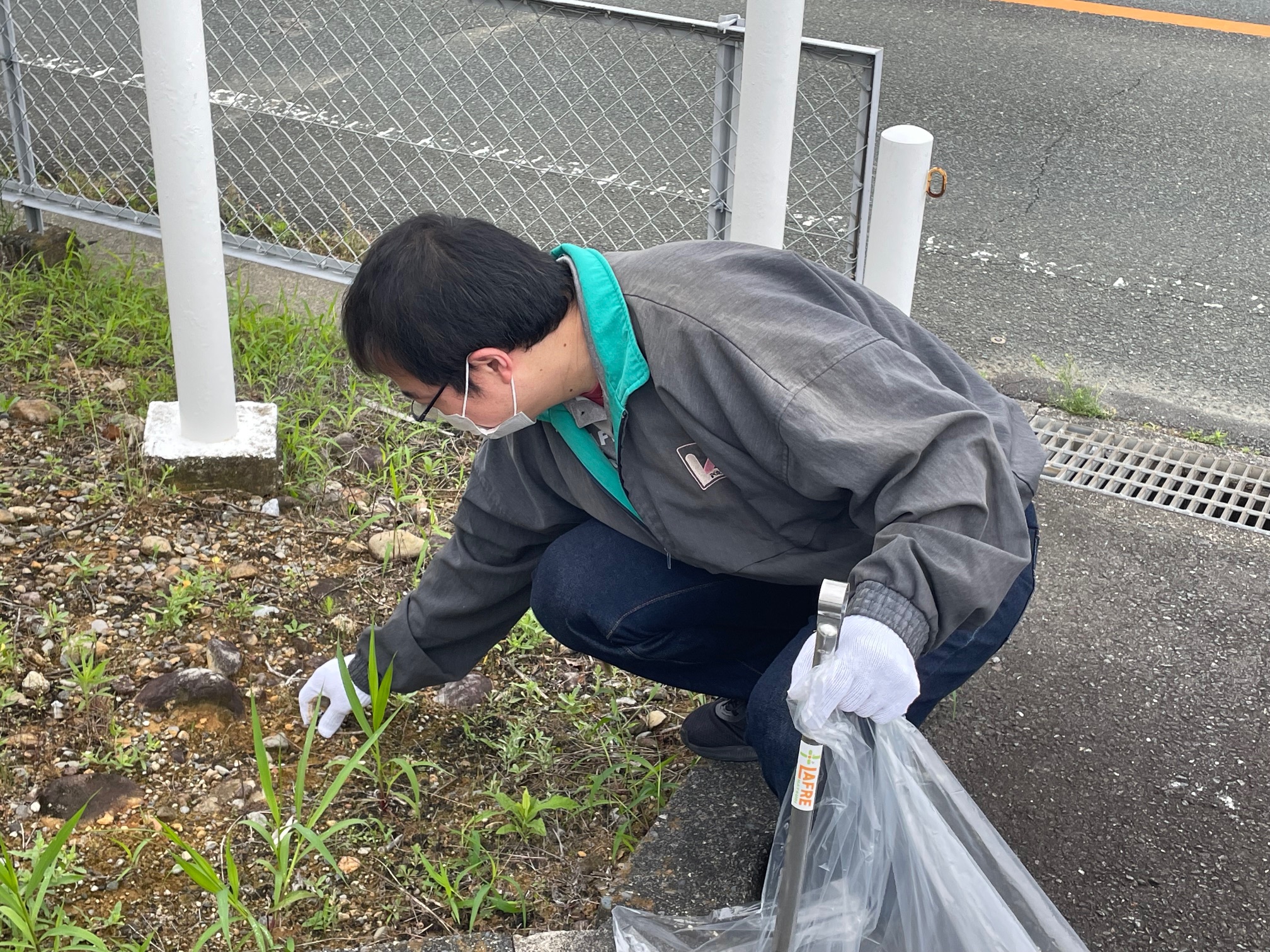 この時期は草が伸びる時期。早めに抜いておく。