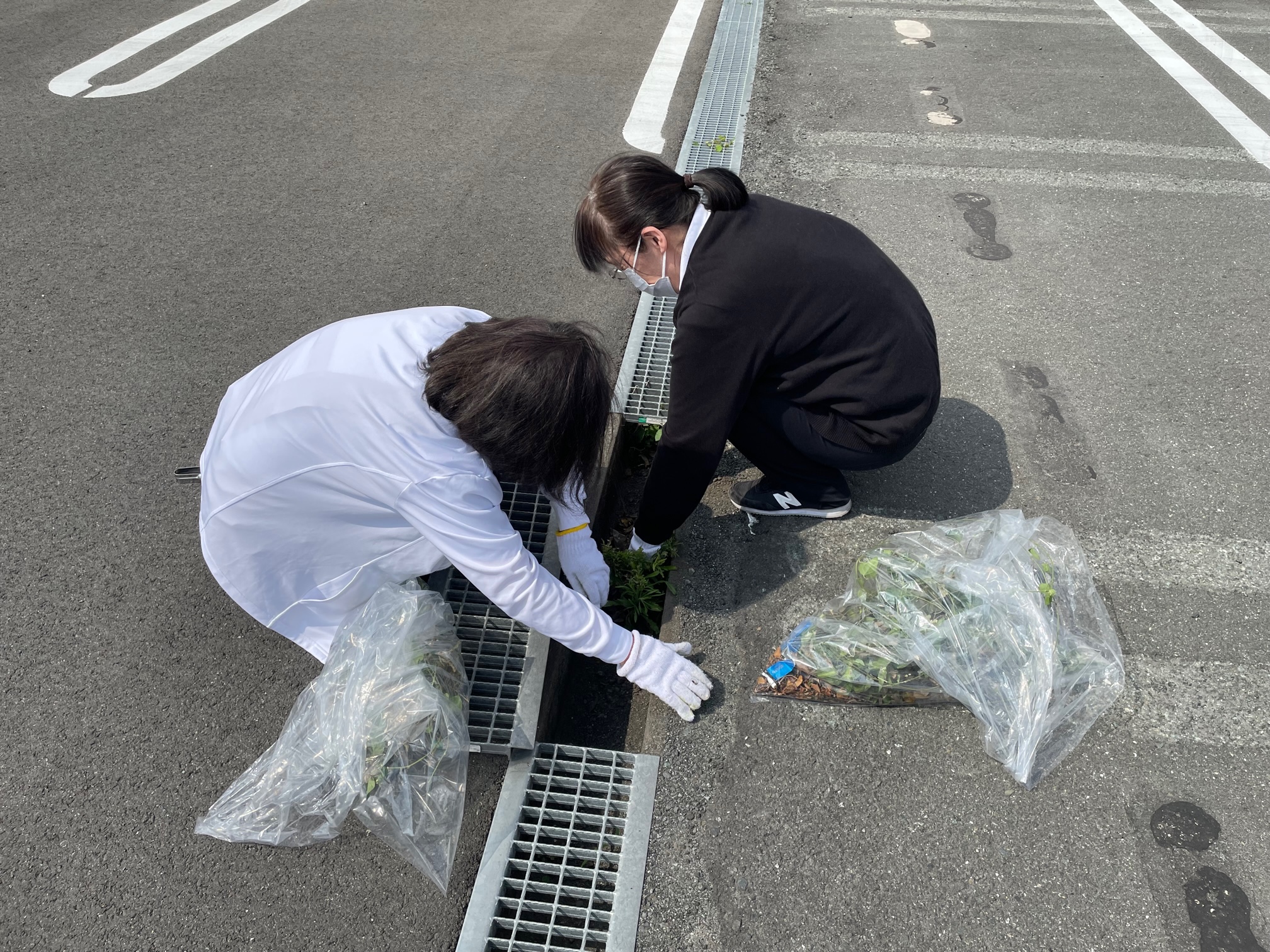 溝の中のごみも拾います。